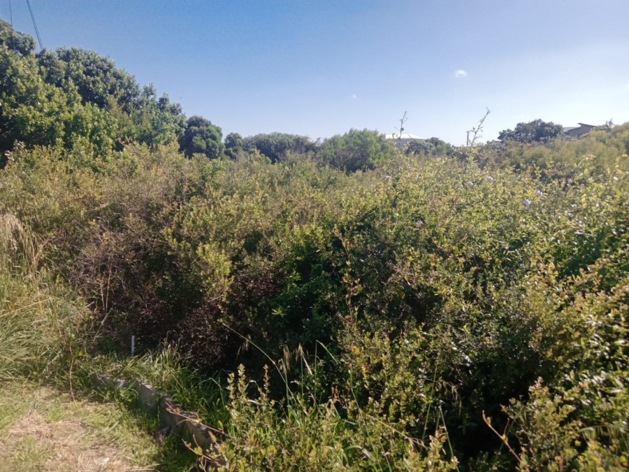 Commercial Property for Sale in Paradise Beach Eastern Cape